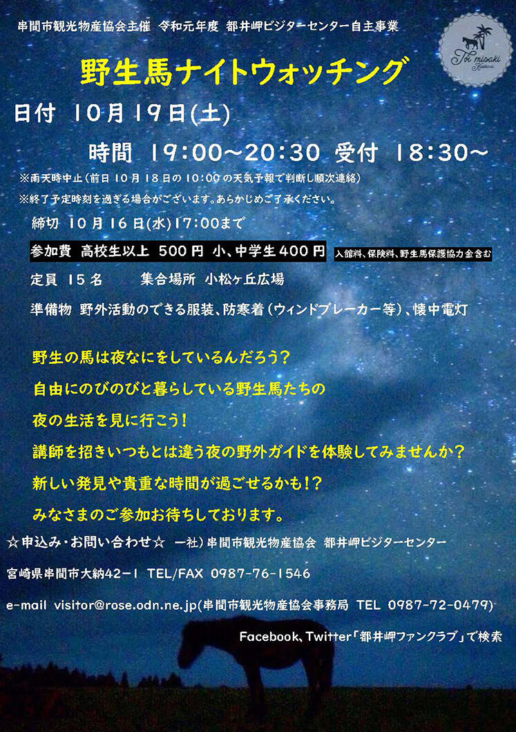 ナイトウォッチング.jpg