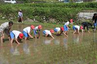 最近のできごと 田植えを実施01.jpg