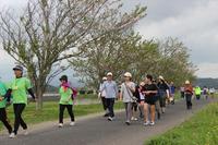 最近のできごと 福島川お花見ウォーキング01.jpg