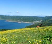 春の都井岬０１.jpg