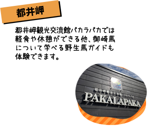 都井岬 都井岬ビジターセンターではスタッフが、お客様のご希望に合ったコースをご案内!