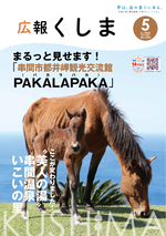 表紙写真.png