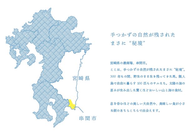 キャプチャ2.PNG